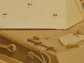 Click on the thumbnail to open the picture in the frame below