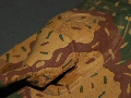 Click on the thumbnail to open the picture in the frame below
