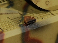 Click on the thumbnail to open the picture in the frame below