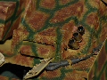Click on the thumbnail to open the picture in the frame below
